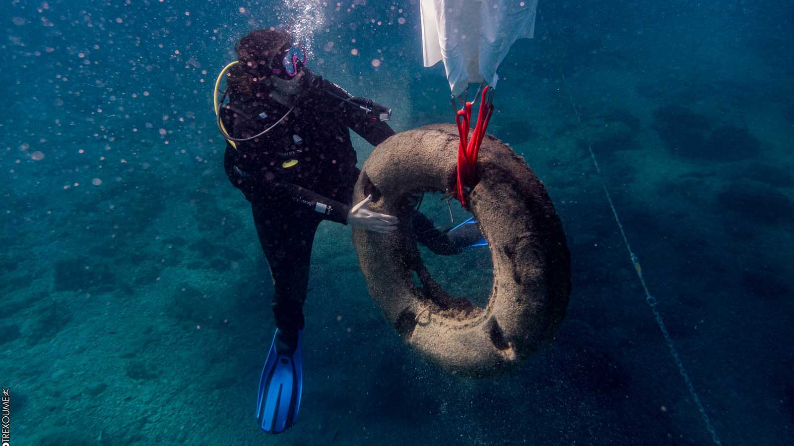 Η Ford Motor Ελλάς υποστηρικτής της «Clean Ocean» 