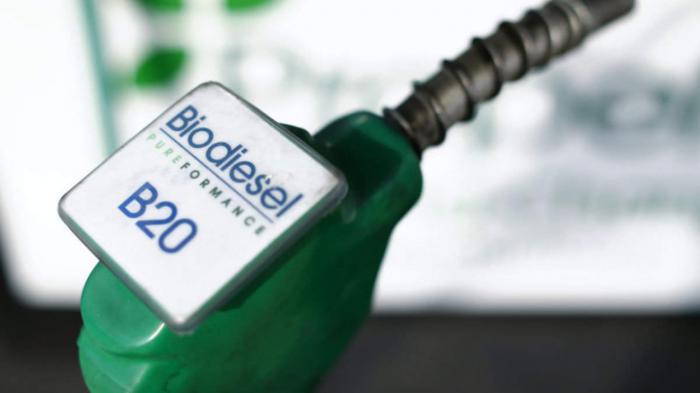 Βiodiesel: Προβληματικό ή λύση για μείωση της χρήσης ορυκτών καυσίμων?